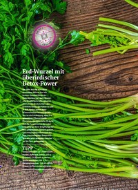 Titelbild der Ausgabe 2/2023 von Erd-Wurzel mit überirdischer Detox-Power. Zeitschriften als Abo oder epaper bei United Kiosk online kaufen.