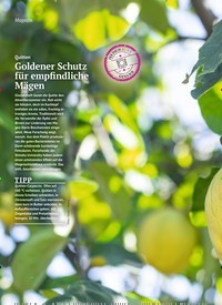 Titelbild der Ausgabe 6/2023 von Goldener Schutz für empfindliche Mägen. Zeitschriften als Abo oder epaper bei United Kiosk online kaufen.