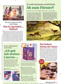 Titelbild der Ausgabe 1/2022 von „Ich geh mit meiner Laterne …. Zeitschriften als Abo oder epaper bei United Kiosk online kaufen.