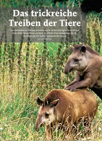 Titelbild der Ausgabe 8/2019 von Das trickreiche Treiben der Tiere. Zeitschriften als Abo oder epaper bei United Kiosk online kaufen.