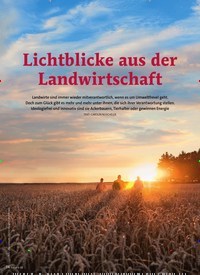 Titelbild der Ausgabe 6/2020 von Insektennamen: Weder Schall noch Rauch. Zeitschriften als Abo oder epaper bei United Kiosk online kaufen.