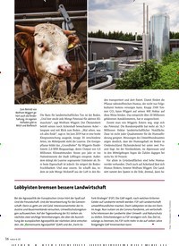 Titelbild der Ausgabe 6/2020 von Mode aus Insektenpanzern: Pailletten der Natur. Zeitschriften als Abo oder epaper bei United Kiosk online kaufen.