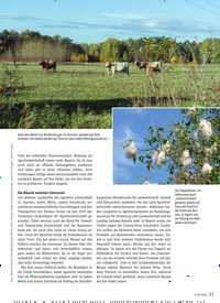Titelbild der Ausgabe 6/2020 von Insekten in Zahlen. Zeitschriften als Abo oder epaper bei United Kiosk online kaufen.