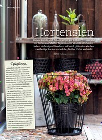 Titelbild der Ausgabe 4/2020 von GARTENporträt:Hortensien. Zeitschriften als Abo oder epaper bei United Kiosk online kaufen.