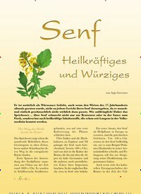 Titelbild der Ausgabe 3/2019 von Senf: Heilkräftiges und Würziges. Zeitschriften als Abo oder epaper bei United Kiosk online kaufen.