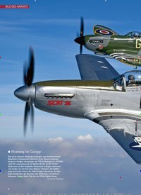 Titelbild der Ausgabe 1/2020 von BILD DES MONATS: Mustang im Galopp. Zeitschriften als Abo oder epaper bei United Kiosk online kaufen.