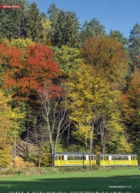 Titelbild der Ausgabe 10/2019 von Bild des Monats: Kirnitzschtalbahn. Zeitschriften als Abo oder epaper bei United Kiosk online kaufen.