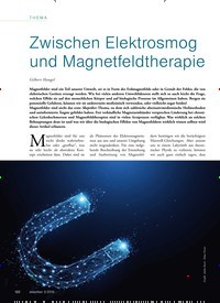 Titelbild der Ausgabe 3/2019 von Zwischen Elektrosmog und Magnetfeldtherapie. Zeitschriften als Abo oder epaper bei United Kiosk online kaufen.