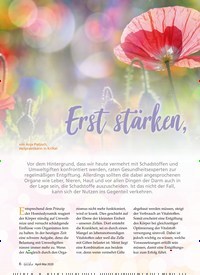Titelbild der Ausgabe 2/2020 von Erst stärken, dann entgiften. Zeitschriften als Abo oder epaper bei United Kiosk online kaufen.