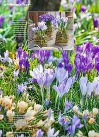 Titelbild der Ausgabe 2/2019 von Hokus Krokus Fidibus. Zeitschriften als Abo oder epaper bei United Kiosk online kaufen.