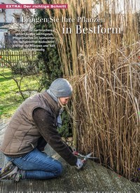 Titelbild der Ausgabe 2/2019 von Bringen Sie Ihre Pflanzen in Bestform. Zeitschriften als Abo oder epaper bei United Kiosk online kaufen.