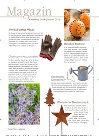 Titelbild der Ausgabe 6/2018 von Magazin. Zeitschriften als Abo oder epaper bei United Kiosk online kaufen.