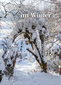 Titelbild der Ausgabe 6/2018 von Blickfänge im Winter. Zeitschriften als Abo oder epaper bei United Kiosk online kaufen.