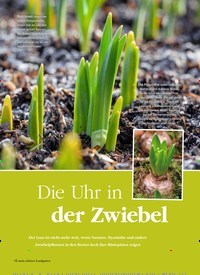 Titelbild der Ausgabe 1/2019 von Die Uhr in der Zwiebel. Zeitschriften als Abo oder epaper bei United Kiosk online kaufen.
