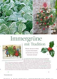 Titelbild der Ausgabe 6/2018 von Immergrüne mit Tradition. Zeitschriften als Abo oder epaper bei United Kiosk online kaufen.