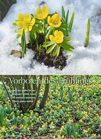 Titelbild der Ausgabe 1/2019 von Vorboten des Frühlings. Zeitschriften als Abo oder epaper bei United Kiosk online kaufen.