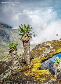 Titelbild der Ausgabe 6/2022 von Im Herzen Afrikas. Zeitschriften als Abo oder epaper bei United Kiosk online kaufen.