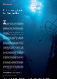 Titelbild der Ausgabe 4/2022 von Unterwassergärten bei Noli, Italien. Zeitschriften als Abo oder epaper bei United Kiosk online kaufen.