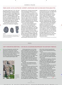 Titelbild der Ausgabe 3/2022 von 7000 JAHRE ALTES GETREIDE VERRÄT URSPRUNG DER SCHWEIZER PFAHLBAUTEN. Zeitschriften als Abo oder epaper bei United Kiosk online kaufen.