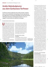 Titelbild der Ausgabe 2/2020 von Weltweit: Feuchtbodenarchäologie im Ural: Uralte Holzskulpturen aus dem Gorbunovo-Torfmoor. Zeitschriften als Abo oder epaper bei United Kiosk online kaufen.