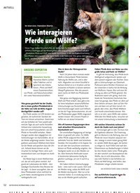 Titelbild der Ausgabe 6/2018 von Wie interagieren Pferde und Wölfe?. Zeitschriften als Abo oder epaper bei United Kiosk online kaufen.