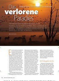 Titelbild der Ausgabe 6/2018 von Das verlorene Paradies. Zeitschriften als Abo oder epaper bei United Kiosk online kaufen.