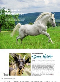 Titelbild der Ausgabe 6/2019 von Lipizzaner als Weltkulturerbe. Zeitschriften als Abo oder epaper bei United Kiosk online kaufen.