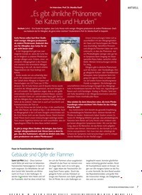 Titelbild der Ausgabe 9/2019 von „Es gibt ähnliche Phänomene bei Katzen und Hunden“. Zeitschriften als Abo oder epaper bei United Kiosk online kaufen.