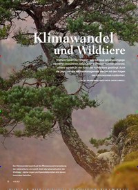 Titelbild der Ausgabe 3/2019 von KLIMAWANDEL HEUTE: Klimawandel und Wildtiere. Zeitschriften als Abo oder epaper bei United Kiosk online kaufen.