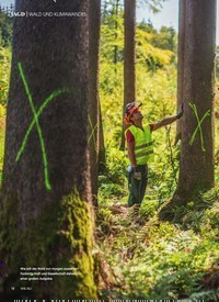 Titelbild der Ausgabe 4/2019 von WALD UND KLIMAWANDEL: Der Wald in Zeiten des Klimawandels. Zeitschriften als Abo oder epaper bei United Kiosk online kaufen.