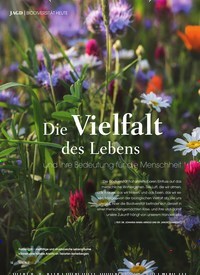 Titelbild der Ausgabe 4/2020 von BIODIVERSITÄT HEUTE: Die Vielfalt des Lebens und ihre Bedeutung für die Menschheit. Zeitschriften als Abo oder epaper bei United Kiosk online kaufen.