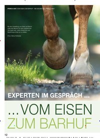 Titelbild der Ausgabe 42/2020 von EXPERTEN IM GESPRÄCH …: … VOM EISEN ZUM BARHUF – WIE GELINGT DIE UMSTELLUNG?. Zeitschriften als Abo oder epaper bei United Kiosk online kaufen.