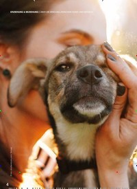 Titelbild der Ausgabe 40/2020 von GESTATTEN, BOND. DOG-HUMAN-BOND: ÜBER DIE BINDUNG ZWISCHEN HUND UND MENSCH. Zeitschriften als Abo oder epaper bei United Kiosk online kaufen.