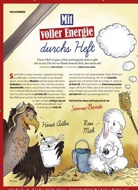 Titelbild der Ausgabe 3/2019 von WILLKOMMEN: Mit voller Energie durchs Heft. Zeitschriften als Abo oder epaper bei United Kiosk online kaufen.