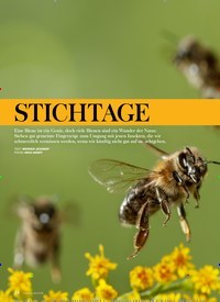 Titelbild der Ausgabe 4/2019 von BIOLOGIE: STICHTAGE. Zeitschriften als Abo oder epaper bei United Kiosk online kaufen.