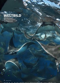 Titelbild der Ausgabe 5/2019 von WELTBILOD. Zeitschriften als Abo oder epaper bei United Kiosk online kaufen.