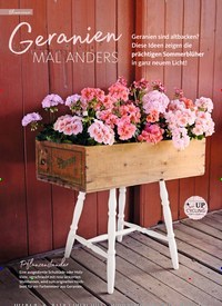 Titelbild der Ausgabe 3/2022 von Geranien MAL ANDERS. Zeitschriften als Abo oder epaper bei United Kiosk online kaufen.
