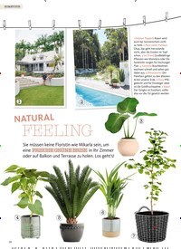 Titelbild der Ausgabe 7/2019 von NATURAL FEELING. Zeitschriften als Abo oder epaper bei United Kiosk online kaufen.