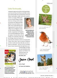 Titelbild der Ausgabe 6/2019 von Liebe Tierfreunde. Zeitschriften als Abo oder epaper bei United Kiosk online kaufen.