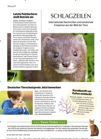 Titelbild der Ausgabe 6/2019 von SCHLAGZEILEN. Zeitschriften als Abo oder epaper bei United Kiosk online kaufen.