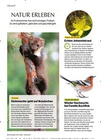 Titelbild der Ausgabe 6/2019 von NATUR ERLEBEN. Zeitschriften als Abo oder epaper bei United Kiosk online kaufen.