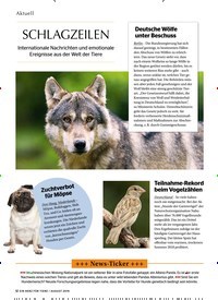 Titelbild der Ausgabe 8/2019 von SCHLAGZEILEN. Zeitschriften als Abo oder epaper bei United Kiosk online kaufen.