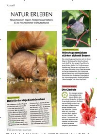 Titelbild der Ausgabe 8/2019 von NATUR ERLEBEN. Zeitschriften als Abo oder epaper bei United Kiosk online kaufen.