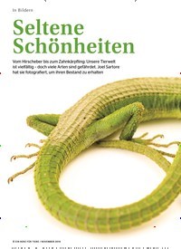 Titelbild der Ausgabe 11/2019 von In Bildern: Seltene Schönheiten. Zeitschriften als Abo oder epaper bei United Kiosk online kaufen.