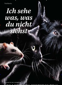 Titelbild der Ausgabe 11/2019 von Titelthema: Ich sehe was, was du nicht siehst. Zeitschriften als Abo oder epaper bei United Kiosk online kaufen.