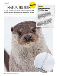Titelbild der Ausgabe 1/2020 von Spezial: NATUR ERLEBEN. Zeitschriften als Abo oder epaper bei United Kiosk online kaufen.