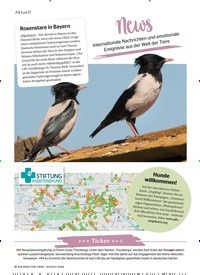 Titelbild der Ausgabe 8/2020 von News. Zeitschriften als Abo oder epaper bei United Kiosk online kaufen.
