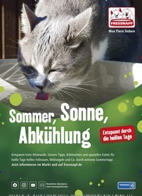 Titelbild der Ausgabe 8/2021 von Liebe Tierfreundinnen und Tierfreunde,. Zeitschriften als Abo oder epaper bei United Kiosk online kaufen.