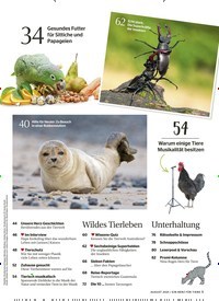 Titelbild der Ausgabe 8/2021 von Einfach mal abhängen. Zeitschriften als Abo oder epaper bei United Kiosk online kaufen.