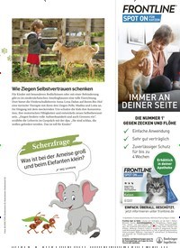 Titelbild der Ausgabe 8/2021 von Mein Super-Doc!. Zeitschriften als Abo oder epaper bei United Kiosk online kaufen.